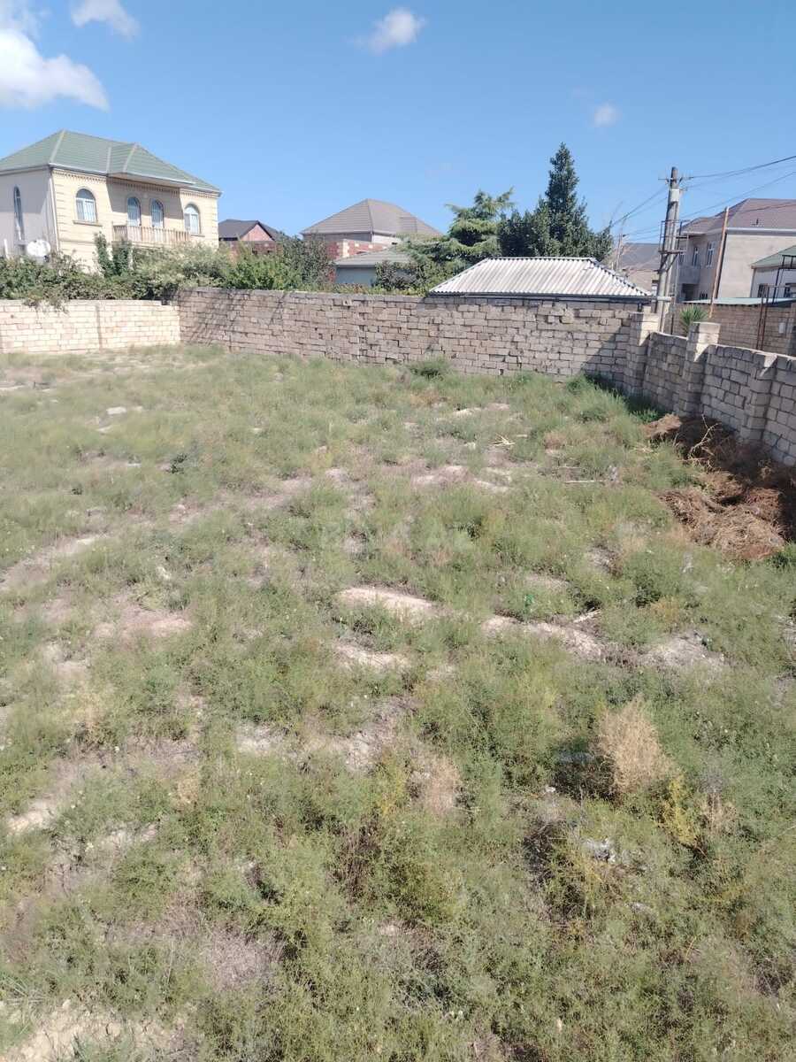 Torpaq Ceyranbatan q., Bakı