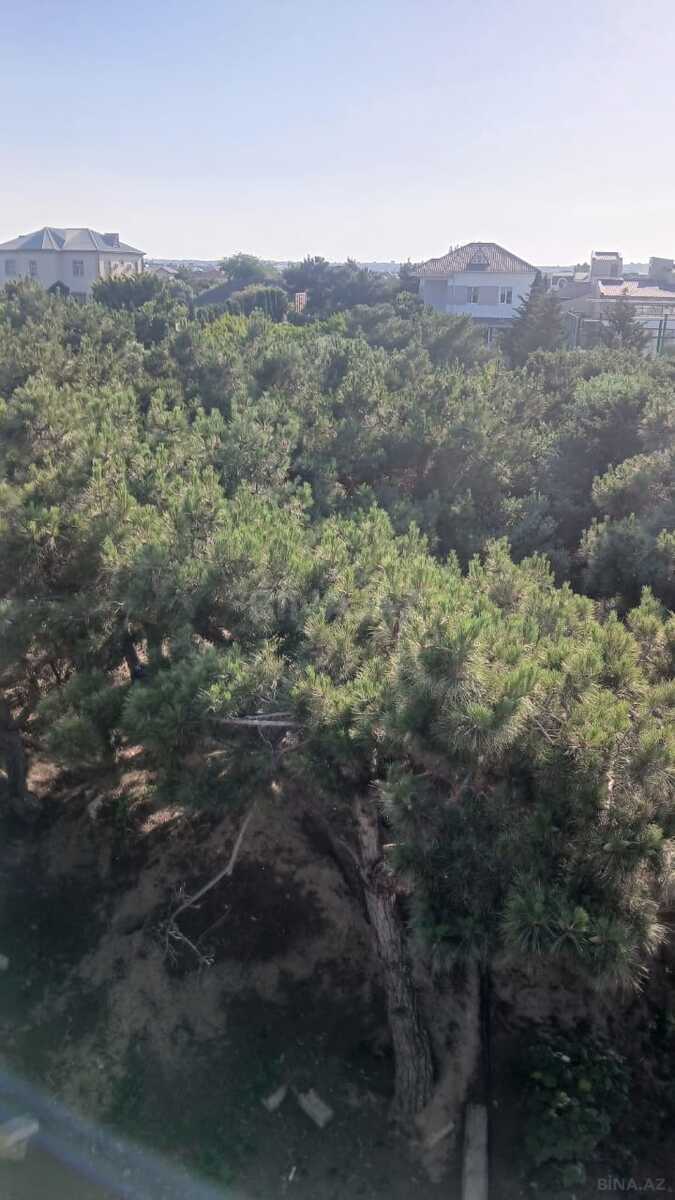 Torpaq Bilgəh q., Bakı