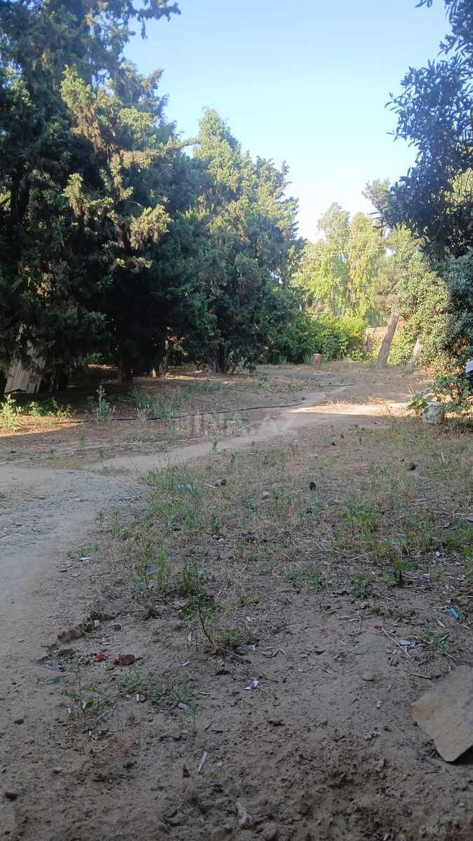 Torpaq Bilgəh q., Bakı