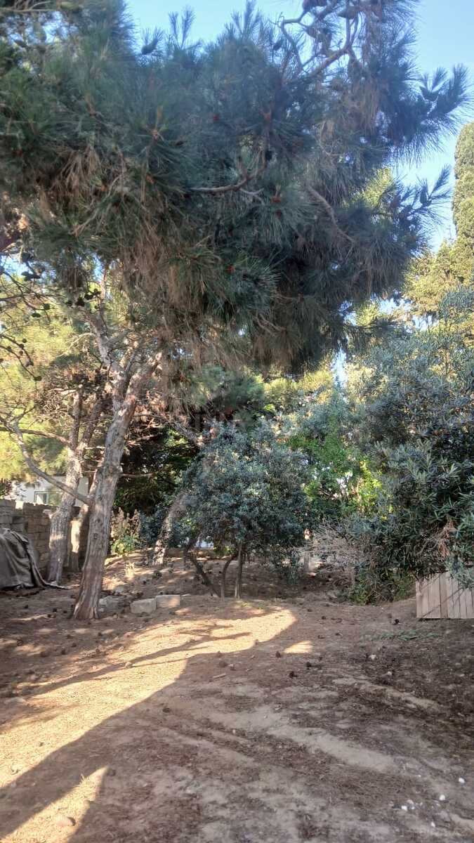 Torpaq Bilgəh q., Bakı