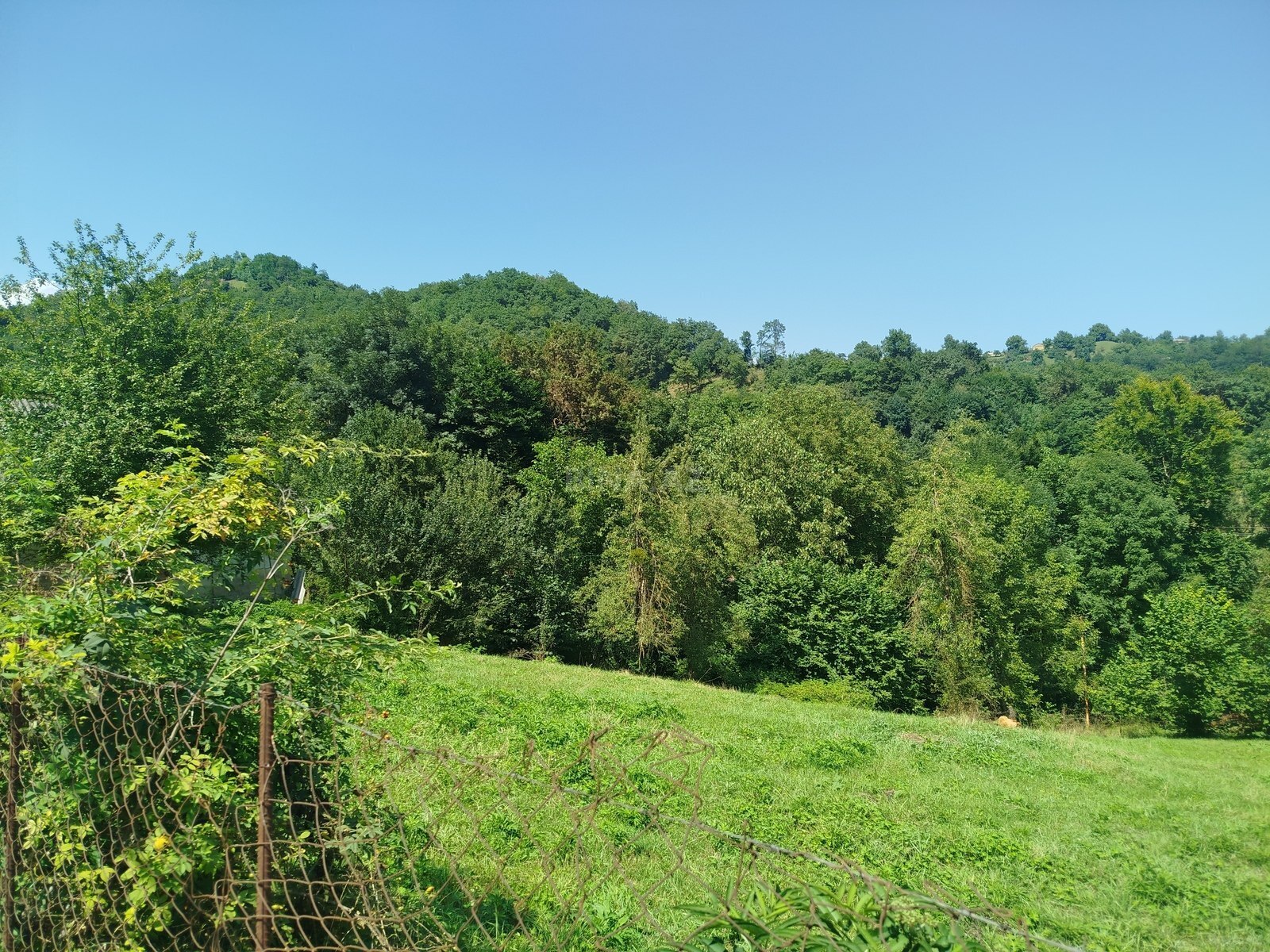 Torpaq Quba