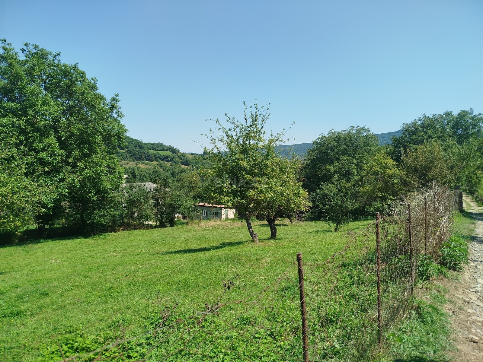 Torpaq Quba