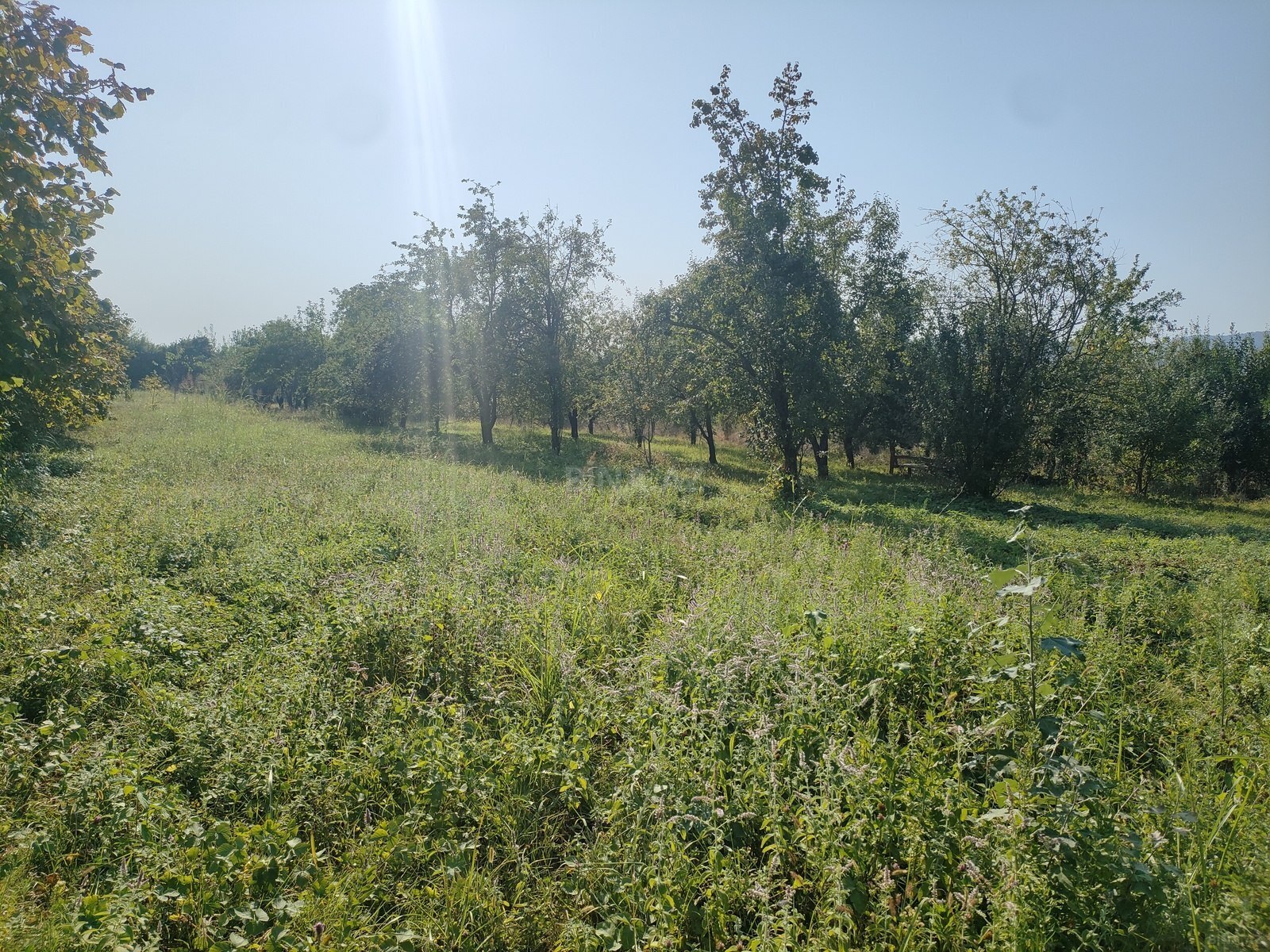 Torpaq Qəbələ