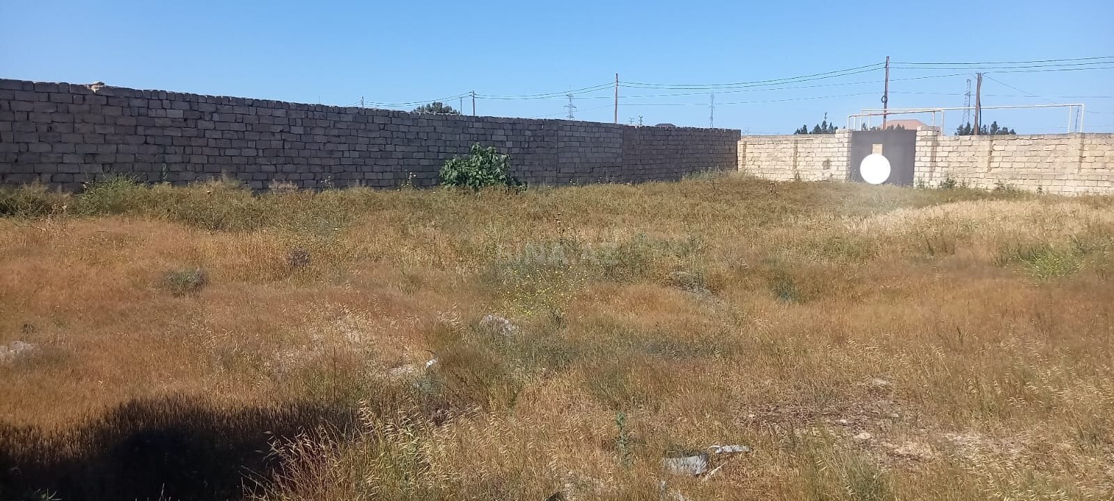 Torpaq Şüvəlan q., Bakı