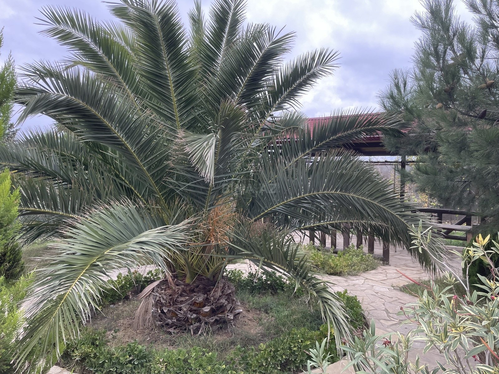 4 otaqlı Həyət evi/Bağ evi, Binəqədi r., Bakı