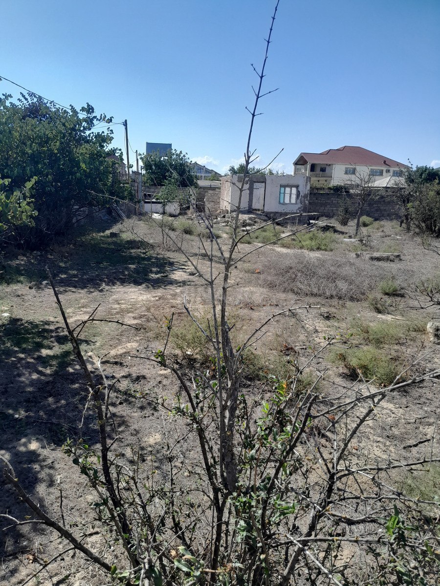 Torpaq Qala q., Bakı