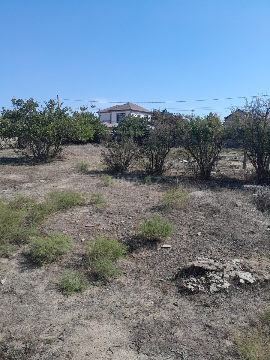 Torpaq Qala q., Bakı
