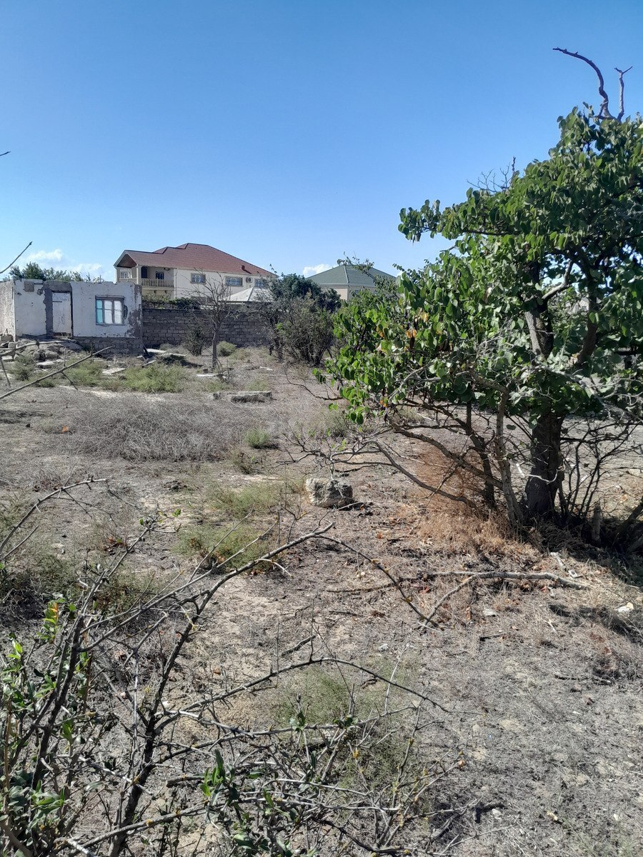 Torpaq Qala q., Bakı