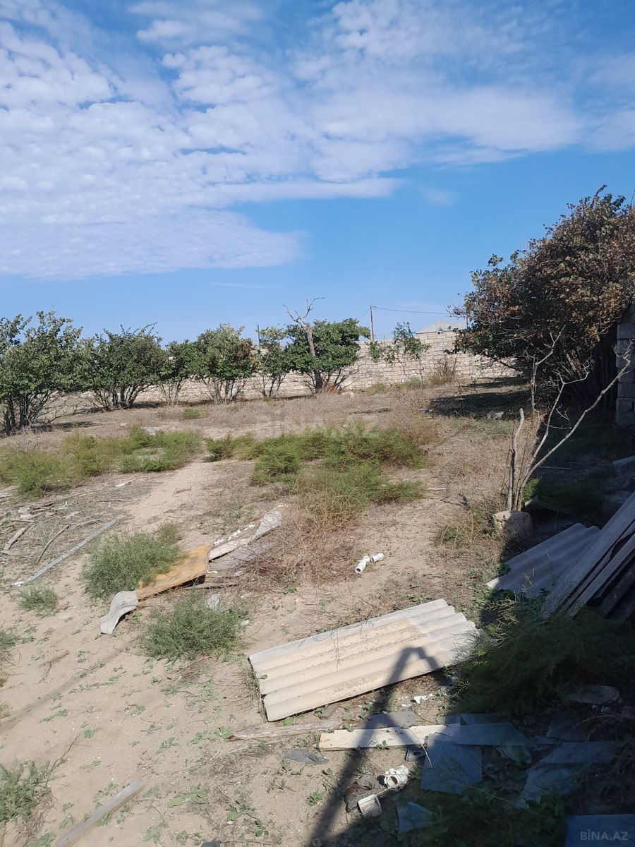 Torpaq Qala q., Bakı