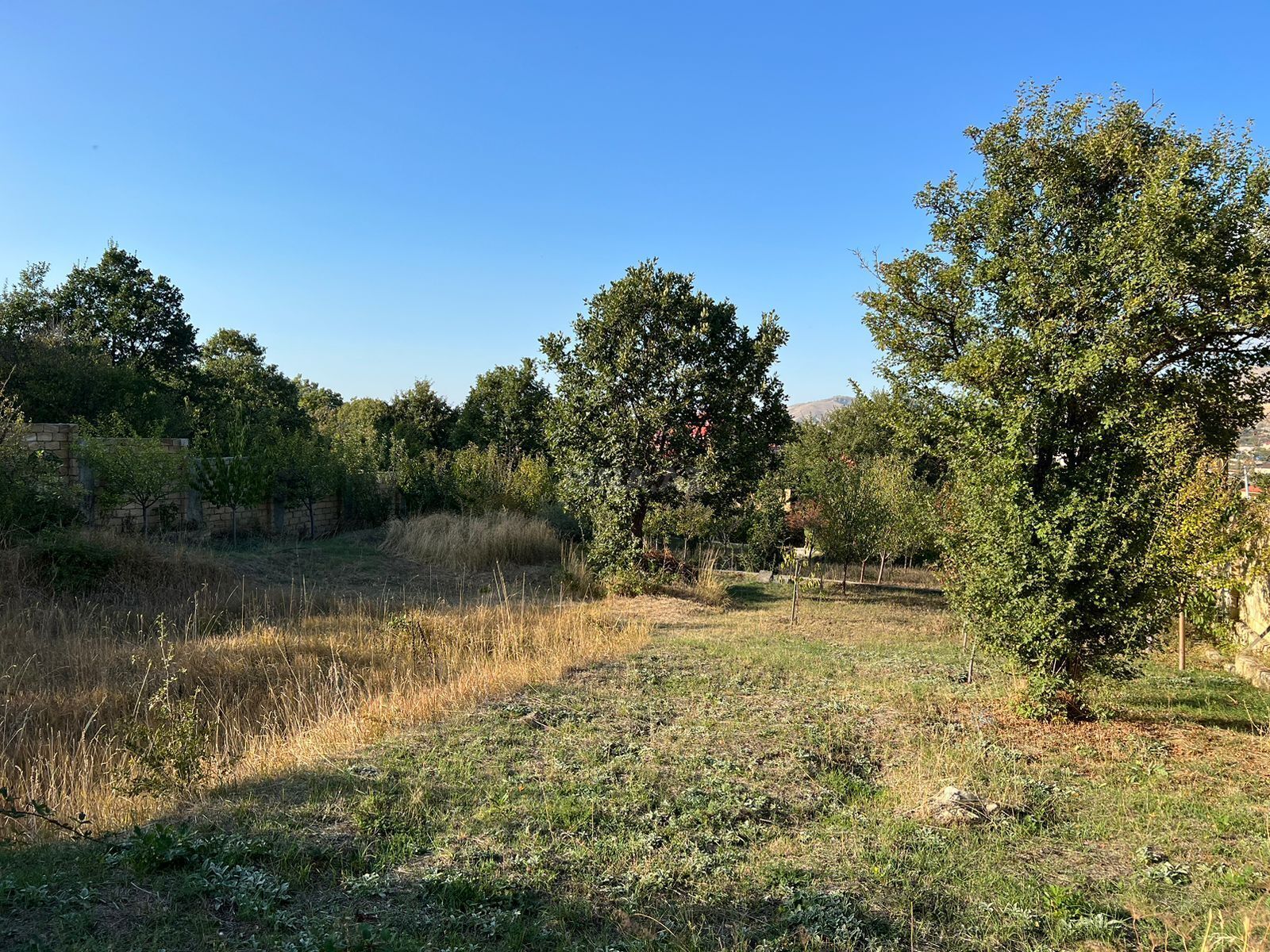 Torpaq Xızı