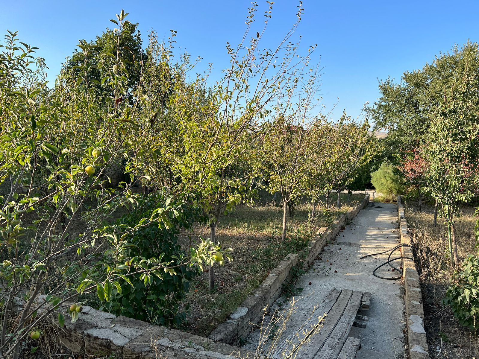 Torpaq Xızı