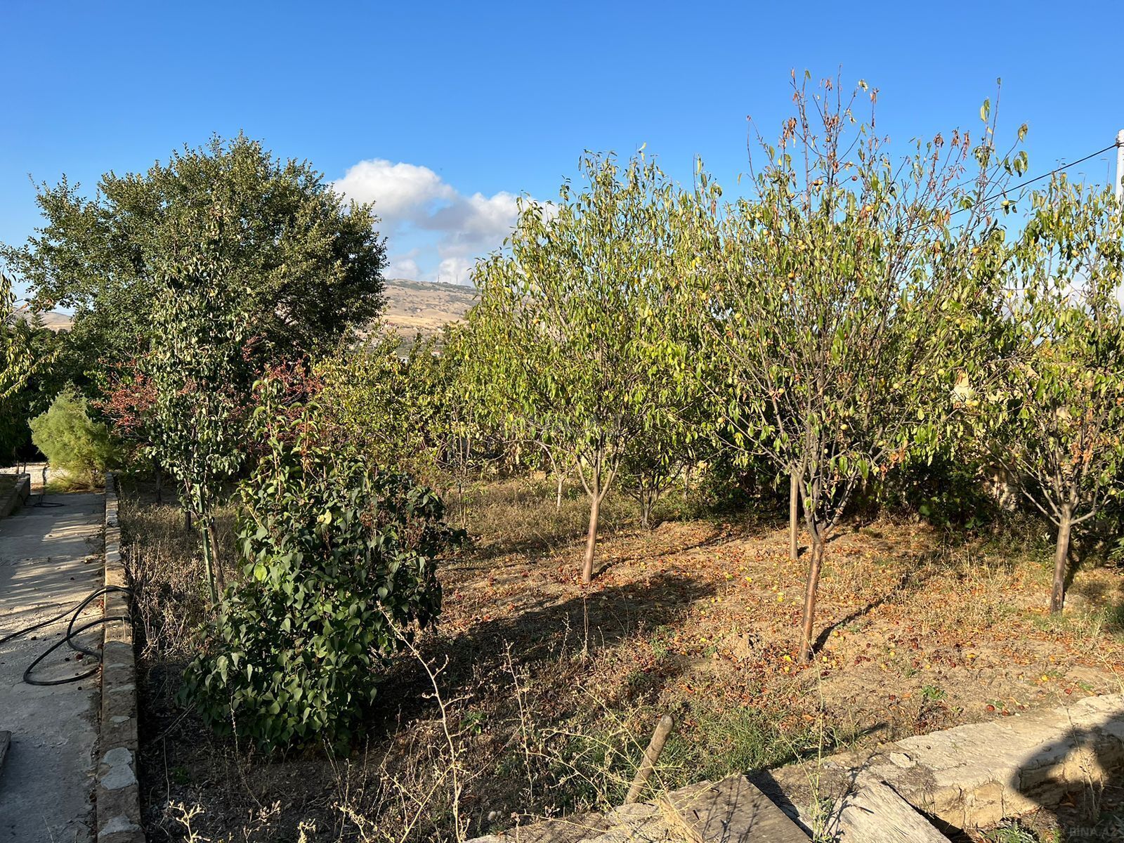 Torpaq Xızı