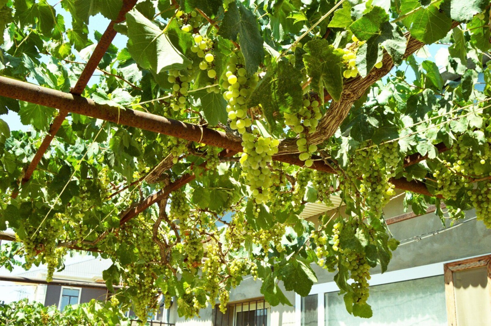 6 otaqlı Həyət evi/Bağ evi, Xəzər r., Bakı