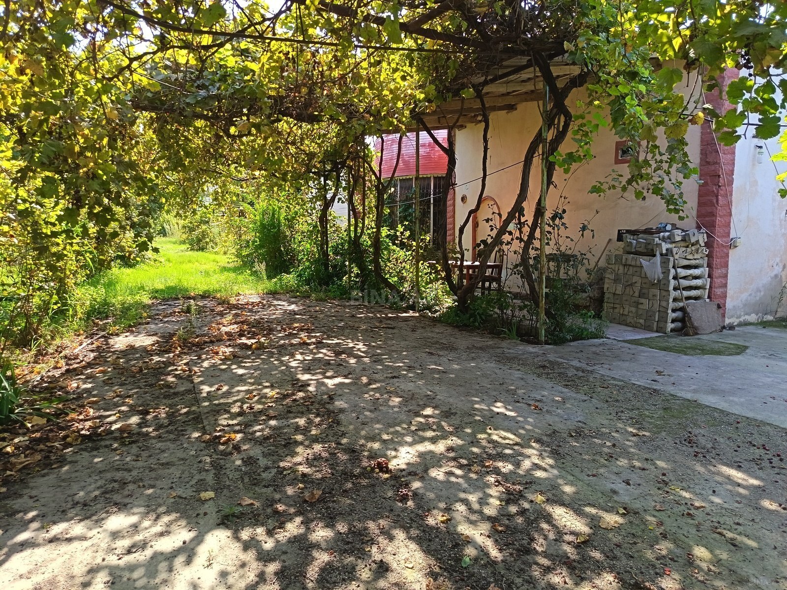 Torpaq Ramana q., Bakı
