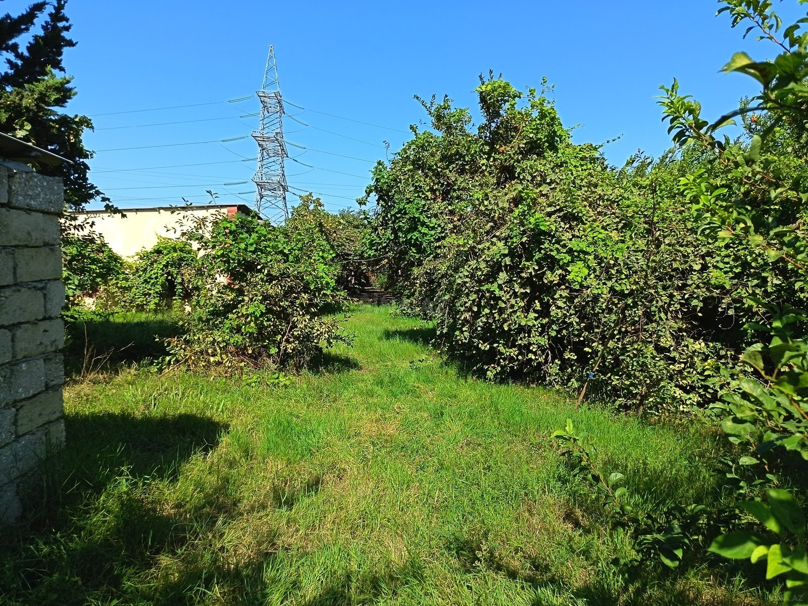 Torpaq Ramana q., Bakı