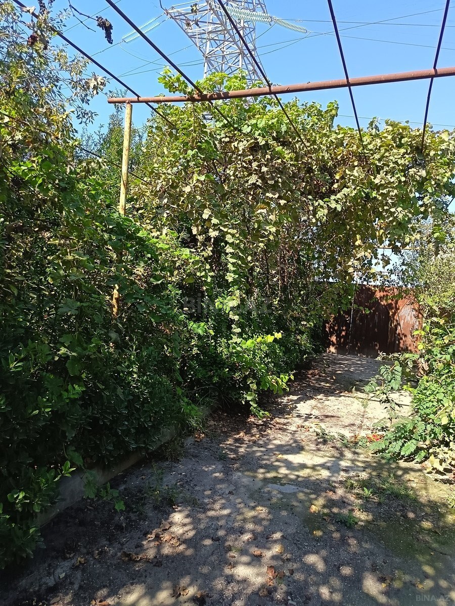 Torpaq Ramana q., Bakı