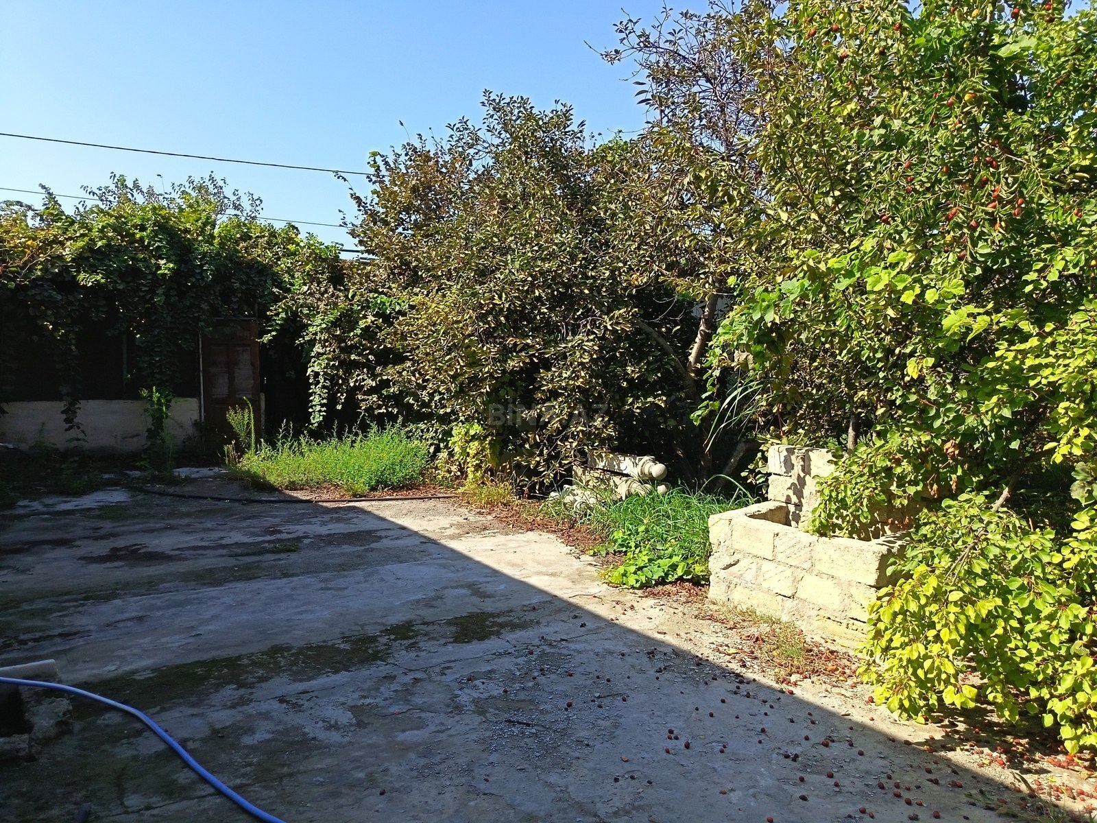 Torpaq Ramana q., Bakı