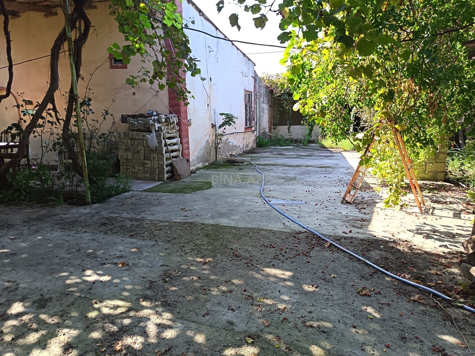 Torpaq Ramana q., Bakı