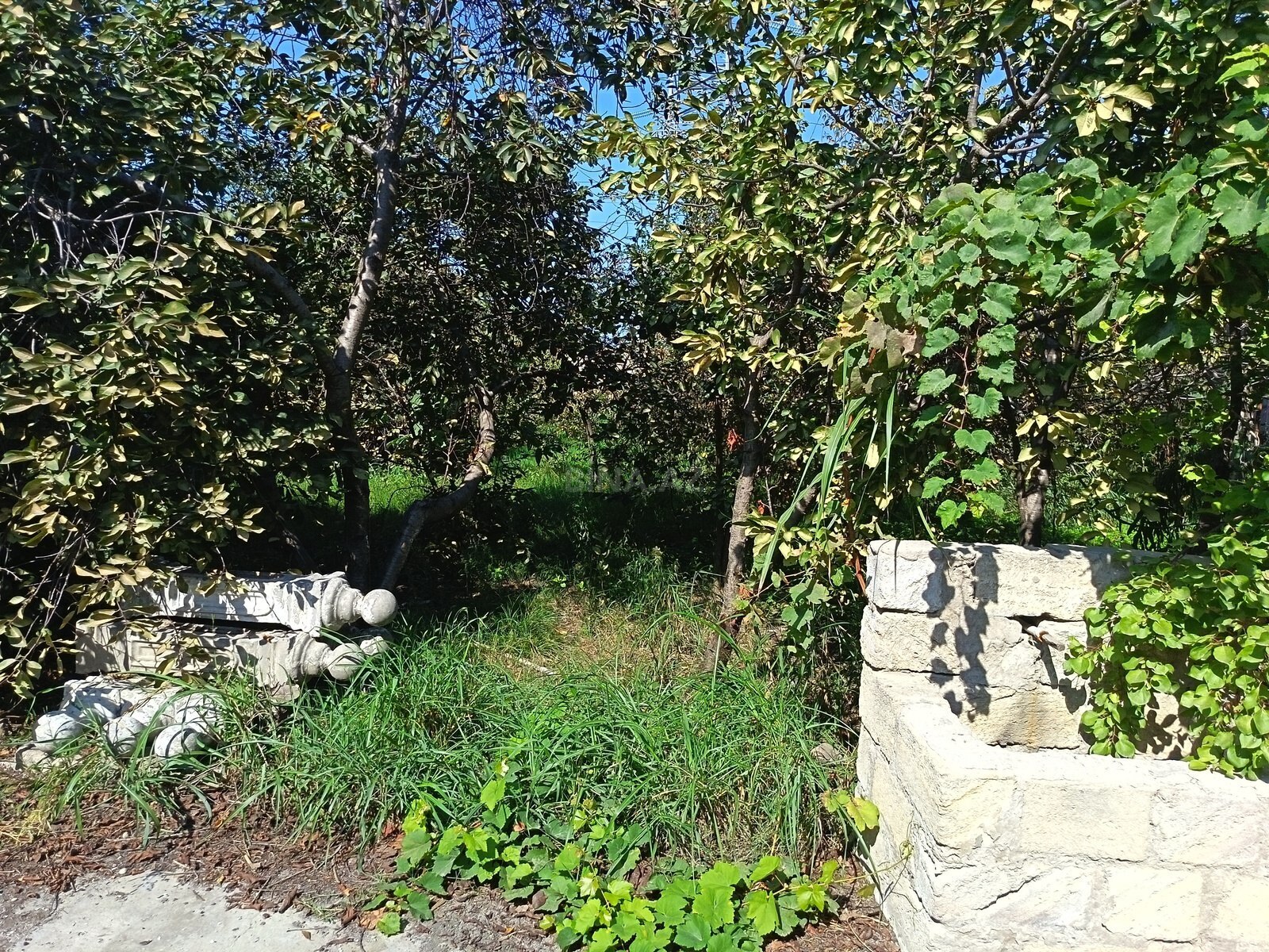 Torpaq Ramana q., Bakı