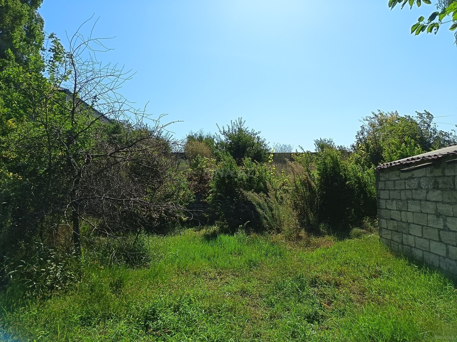 Torpaq Ramana q., Bakı