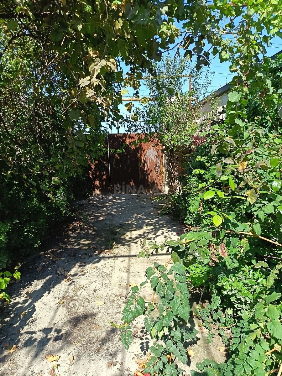Torpaq Ramana q., Bakı