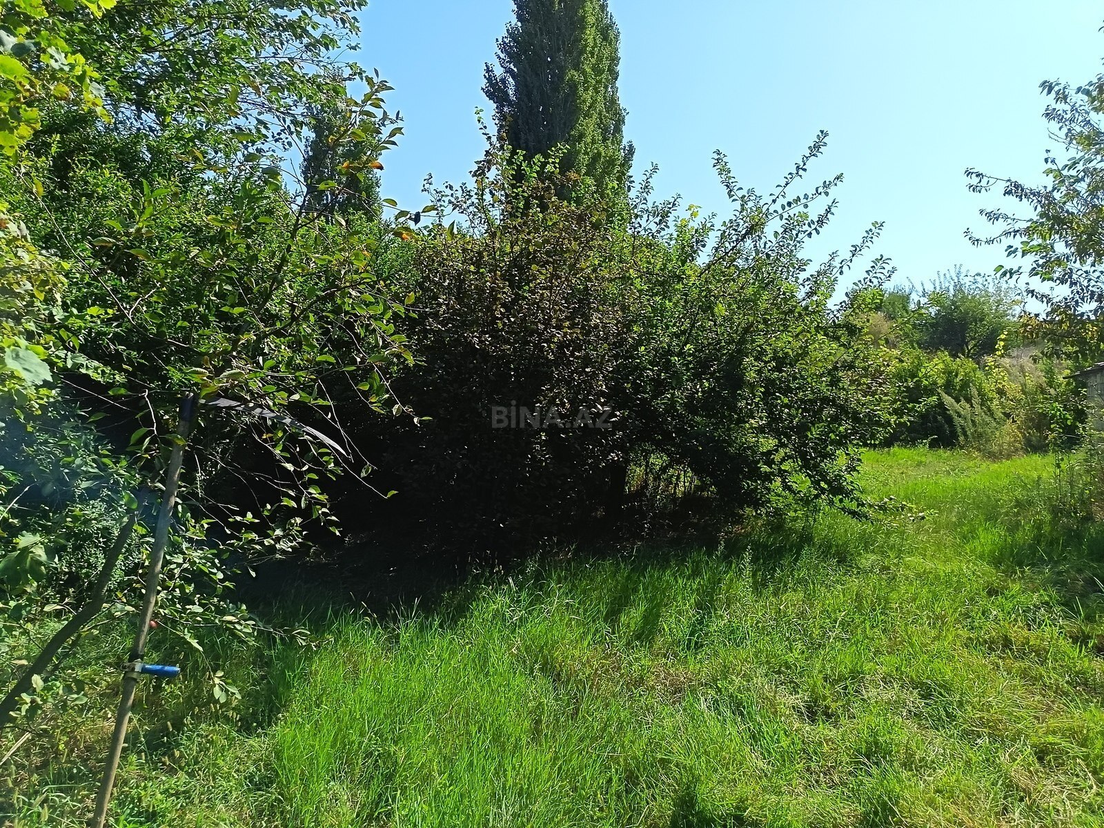 Torpaq Ramana q., Bakı