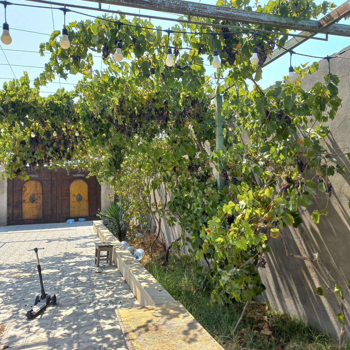3 otaqlı Həyət evi/Bağ evi, Albalılıq q., Bakı