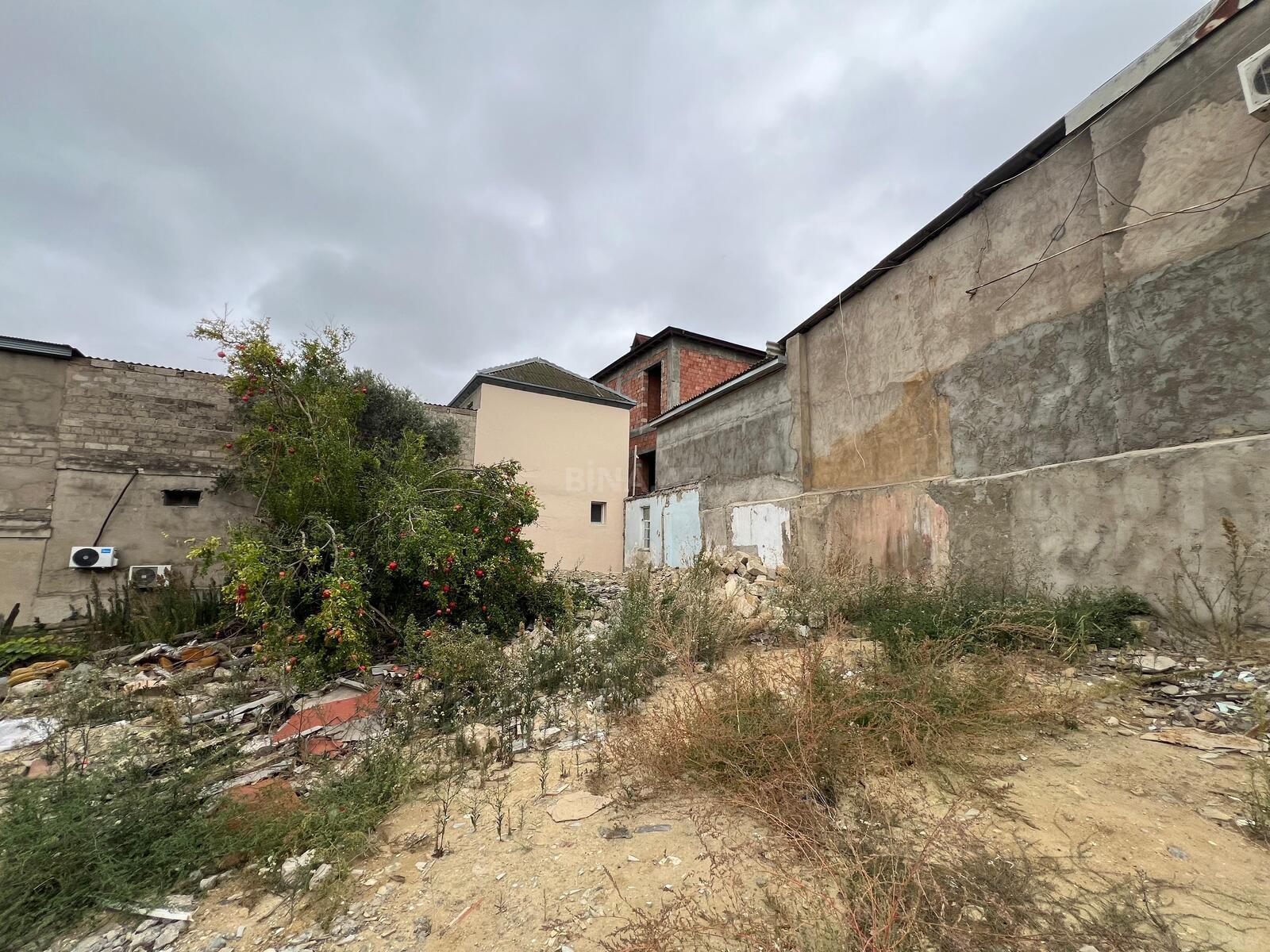 Torpaq Azadlıq Prospekti m., Bakı
