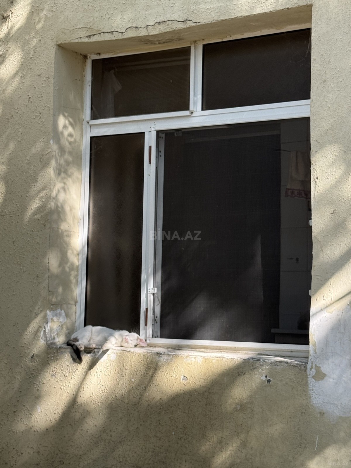 2 otaqlı Köhnə tikili, Şirvan