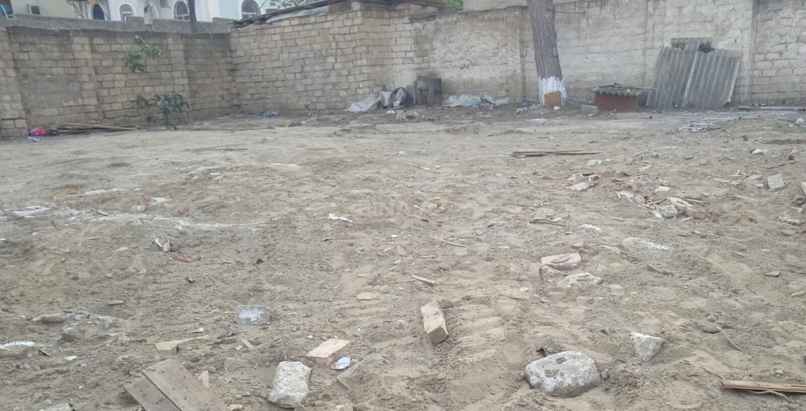Torpaq Badamdar q., Bakı