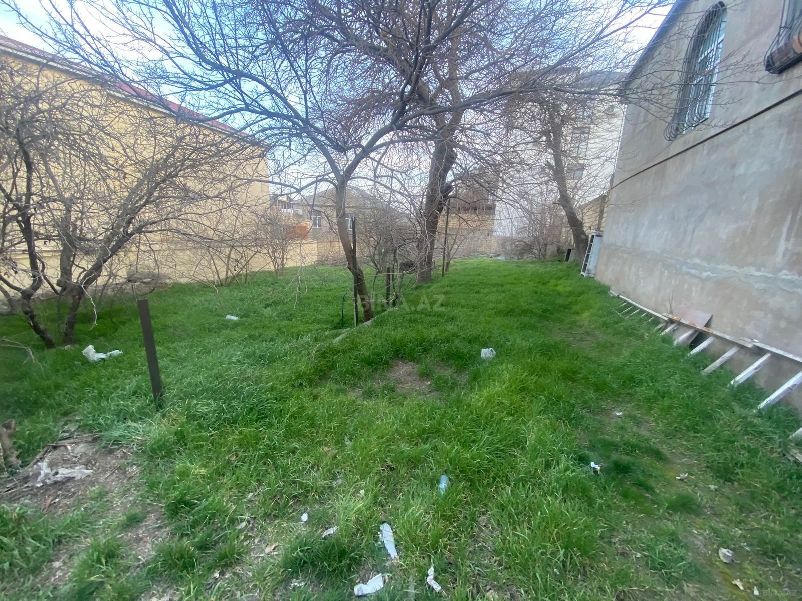 Torpaq Badamdar q., Bakı