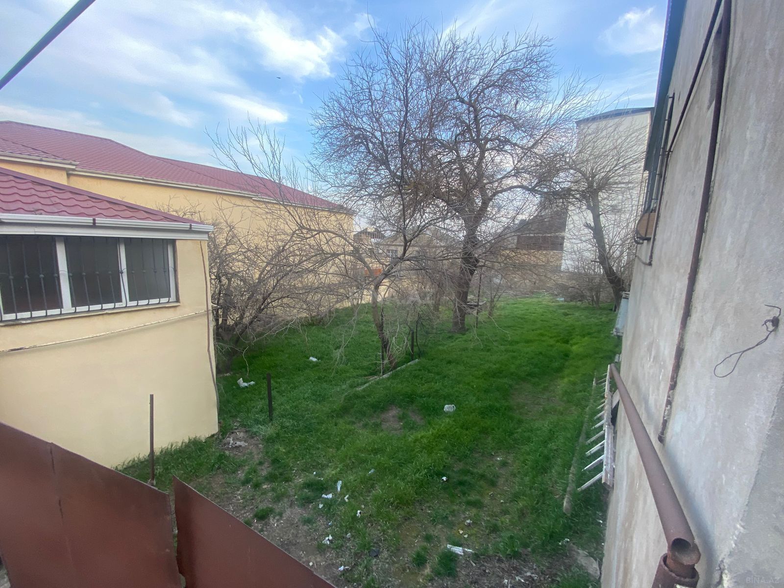 Torpaq Badamdar q., Bakı