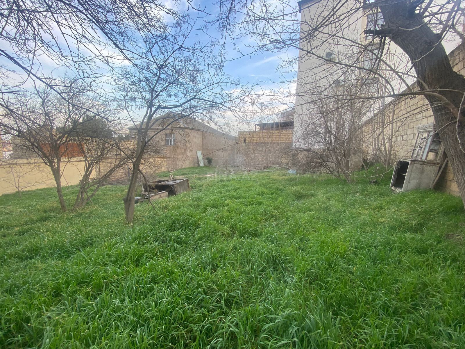 Torpaq Badamdar q., Bakı