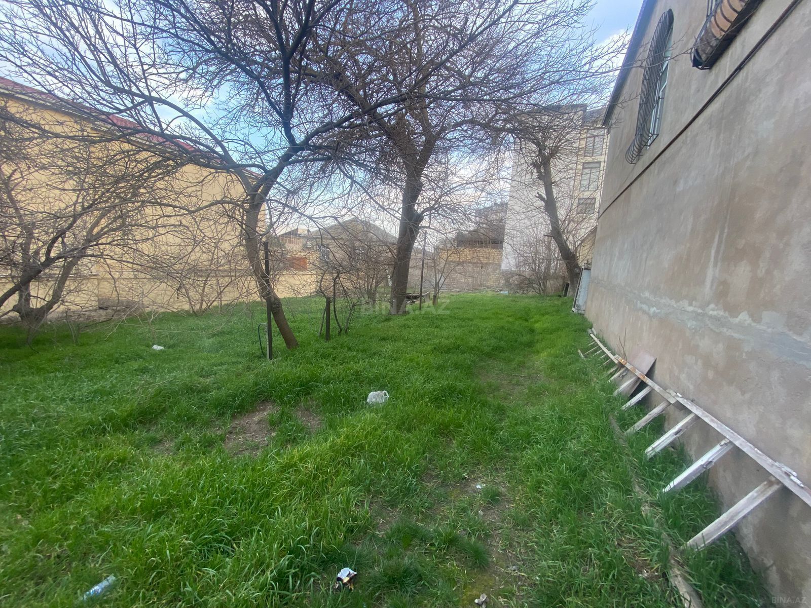 Torpaq Badamdar q., Bakı