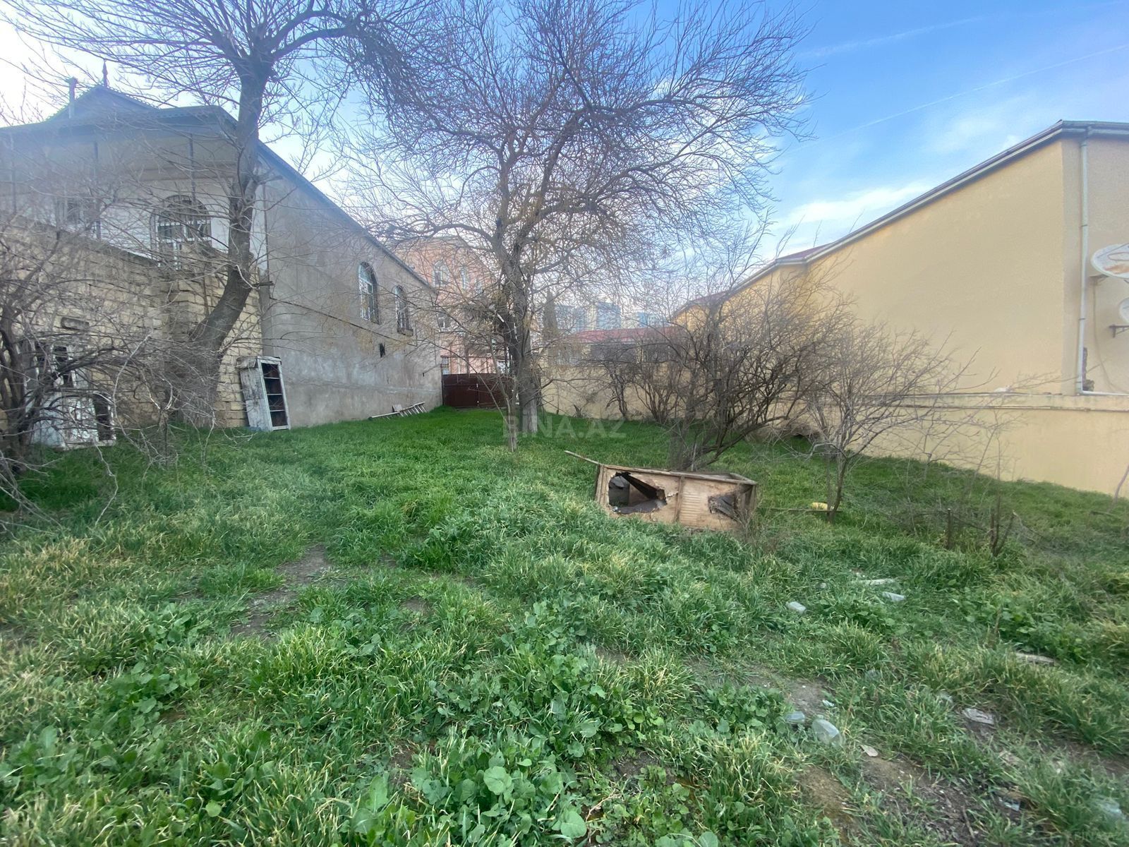 Torpaq Badamdar q., Bakı