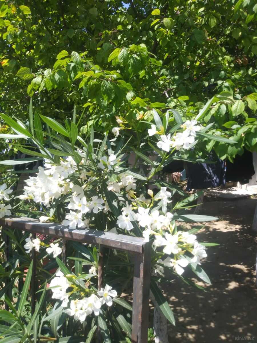 5 otaqlı Həyət evi/Bağ evi, 20-ci sahə q., Bakı