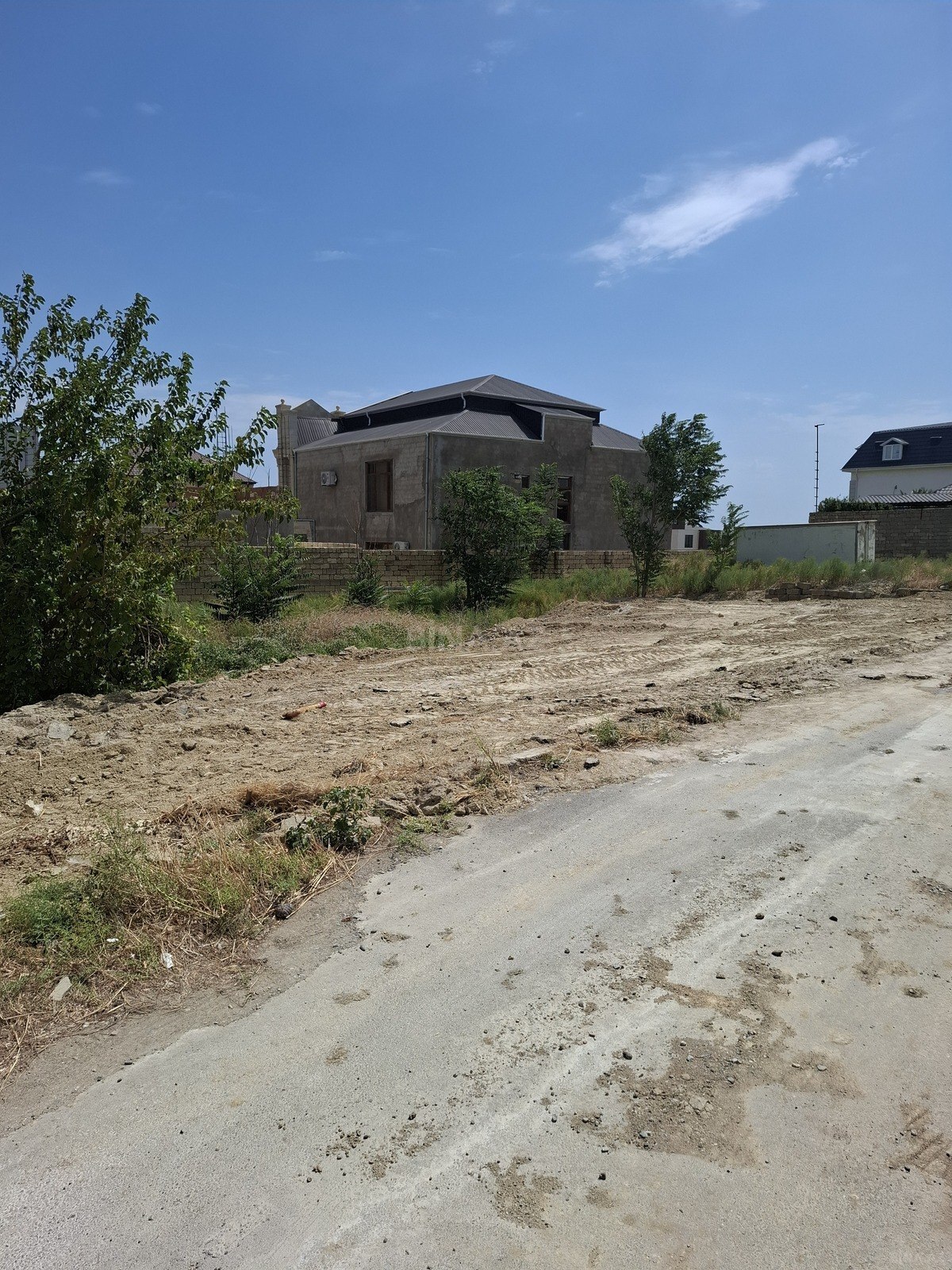 Torpaq Badamdar q., Bakı