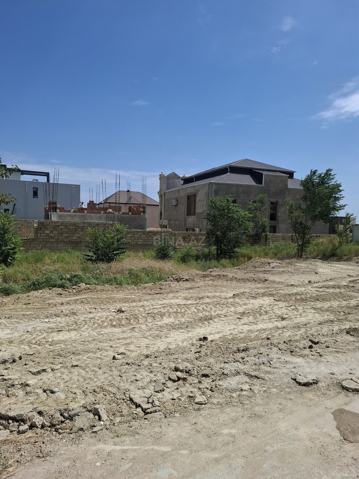 Torpaq Badamdar q., Bakı