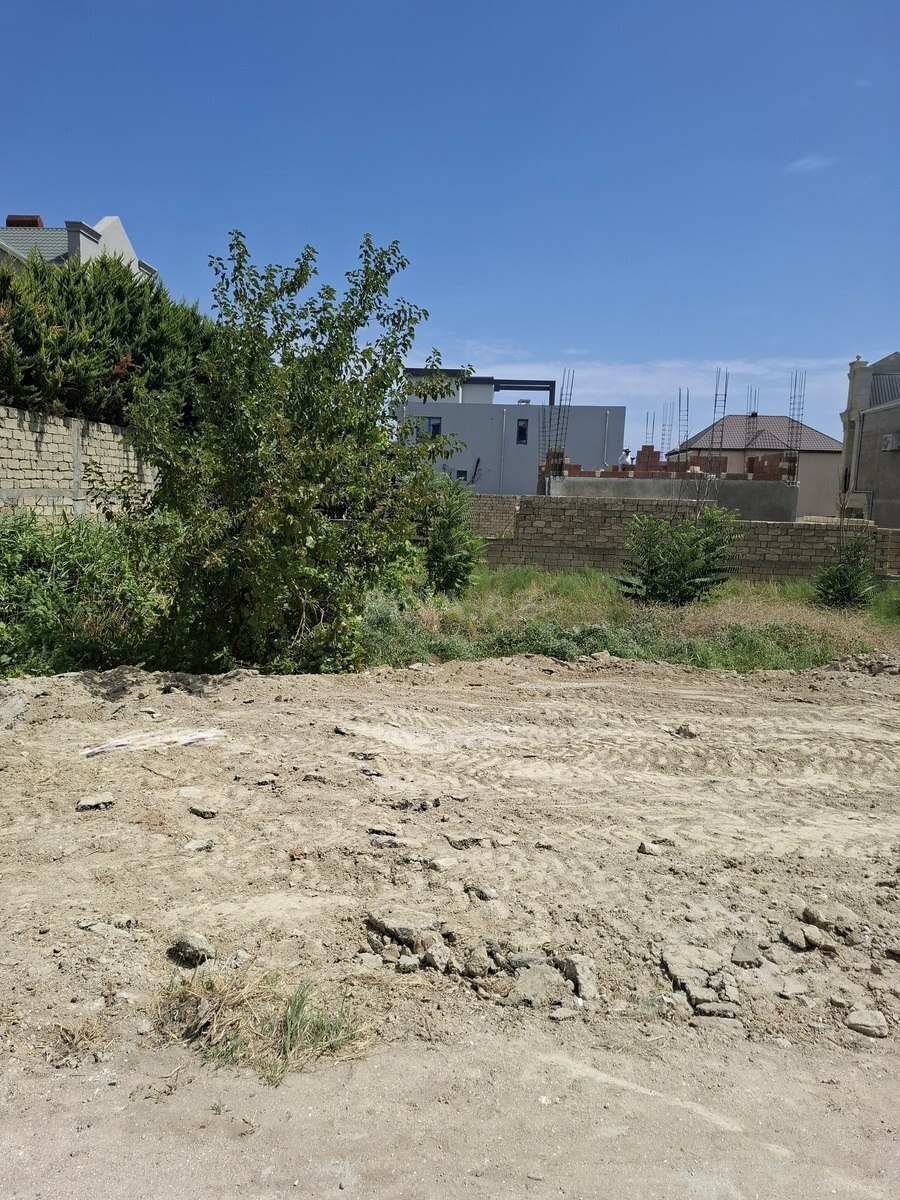 Torpaq Badamdar q., Bakı