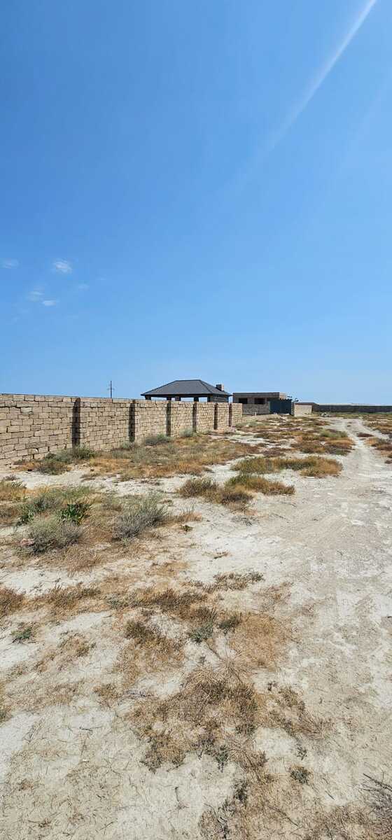 Torpaq Zirə q., Bakı