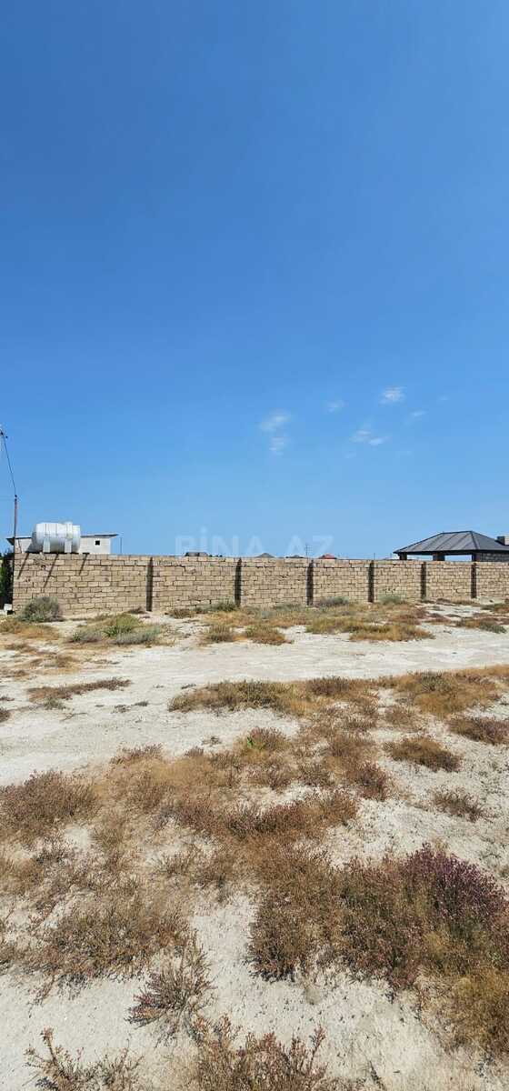 Torpaq Zirə q., Bakı