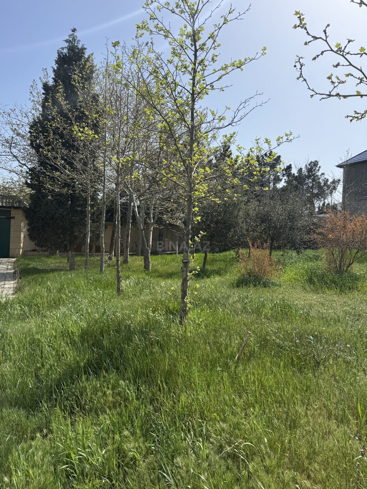 Torpaq Masazır q., Bakı