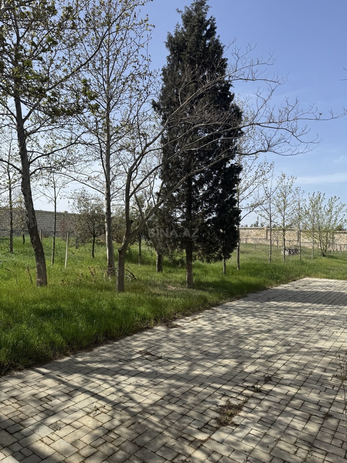 Torpaq Masazır q., Bakı