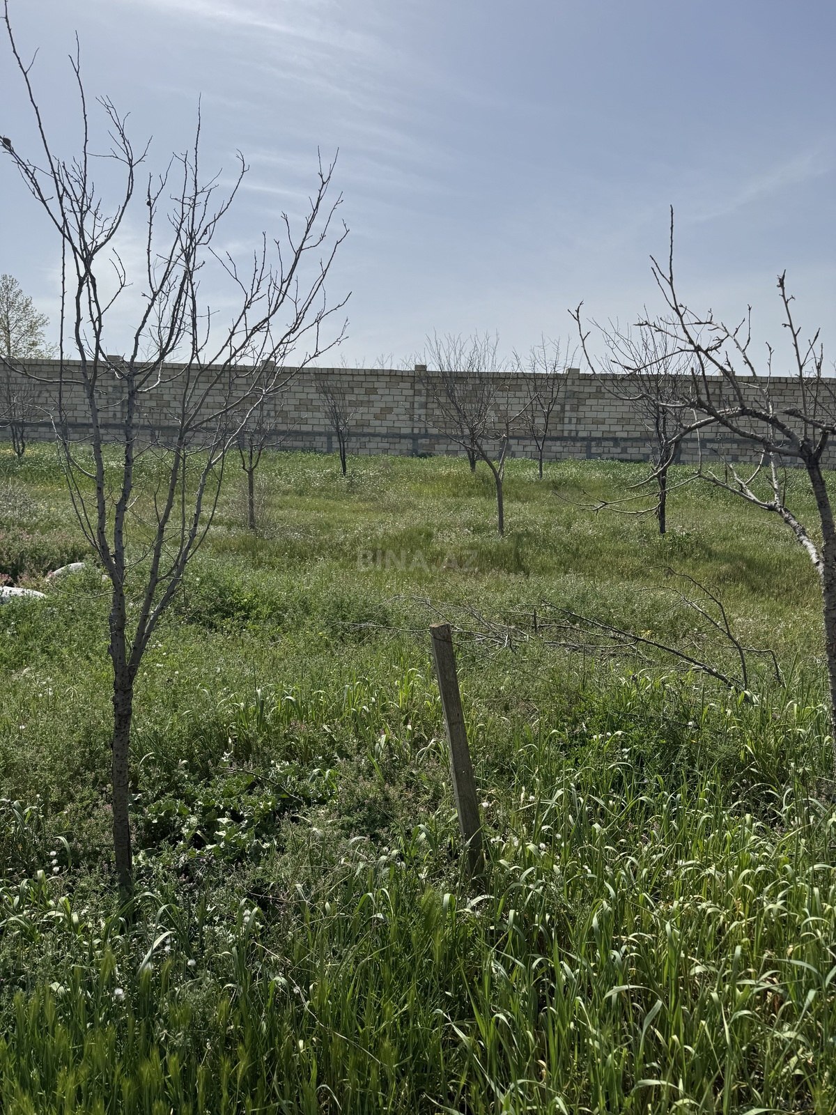 Torpaq Masazır q., Bakı