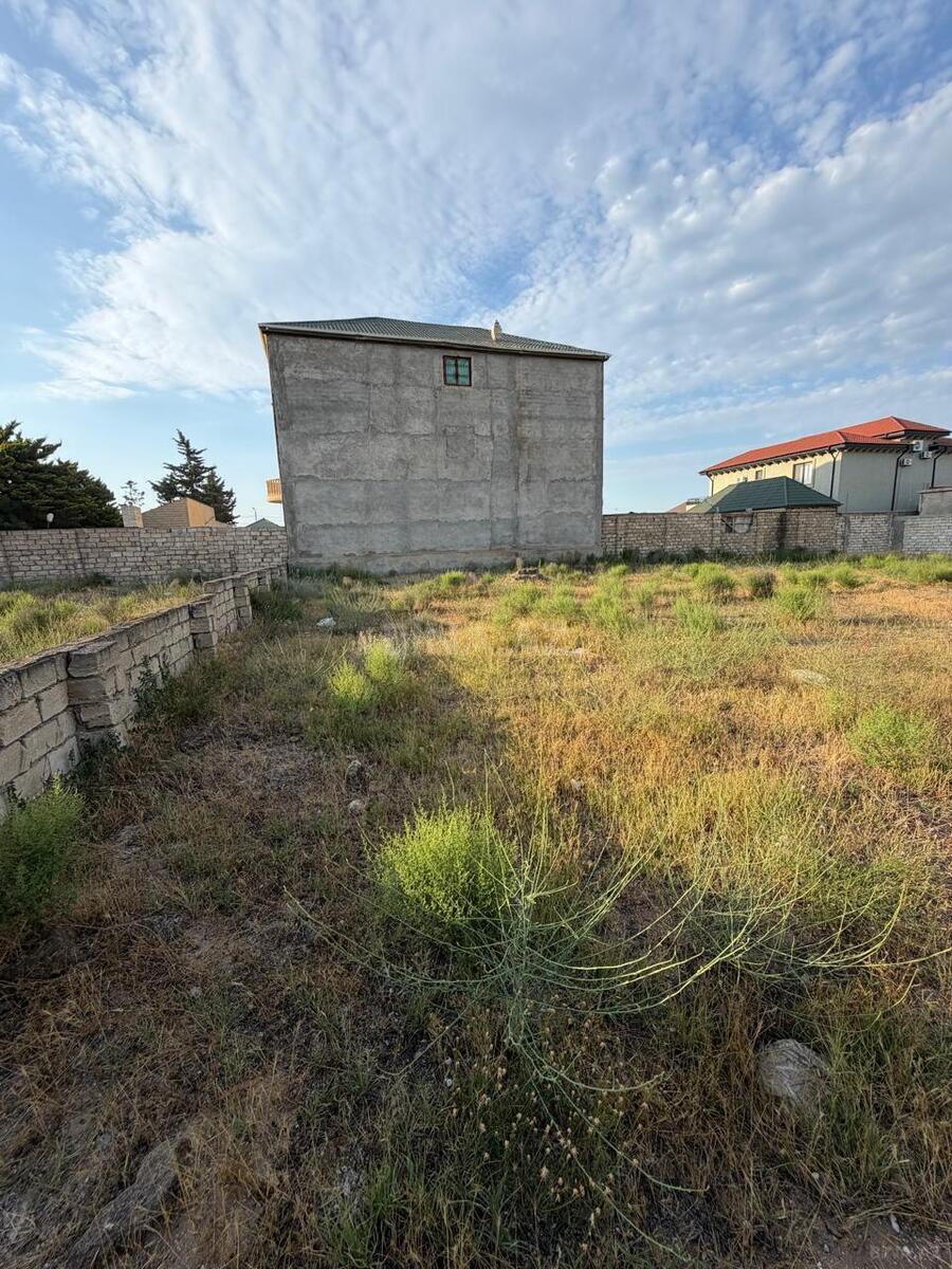 Torpaq Şüvəlan q., Bakı