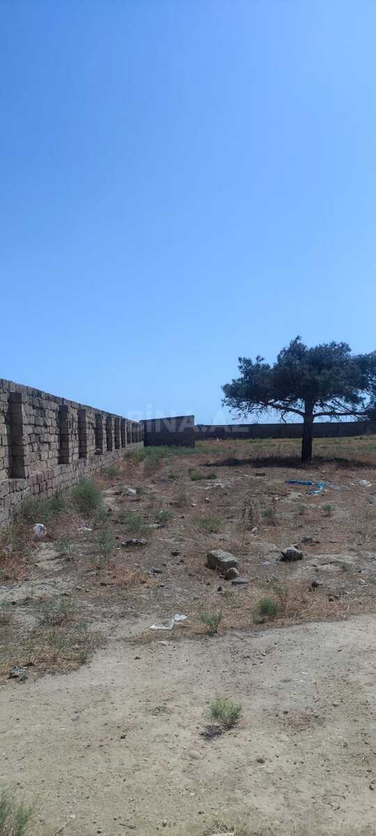 Torpaq Qaraçuxur q., Bakı