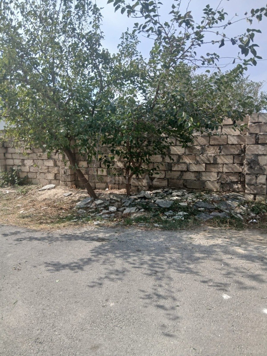 Torpaq Azadlıq Prospekti m., Bakı
