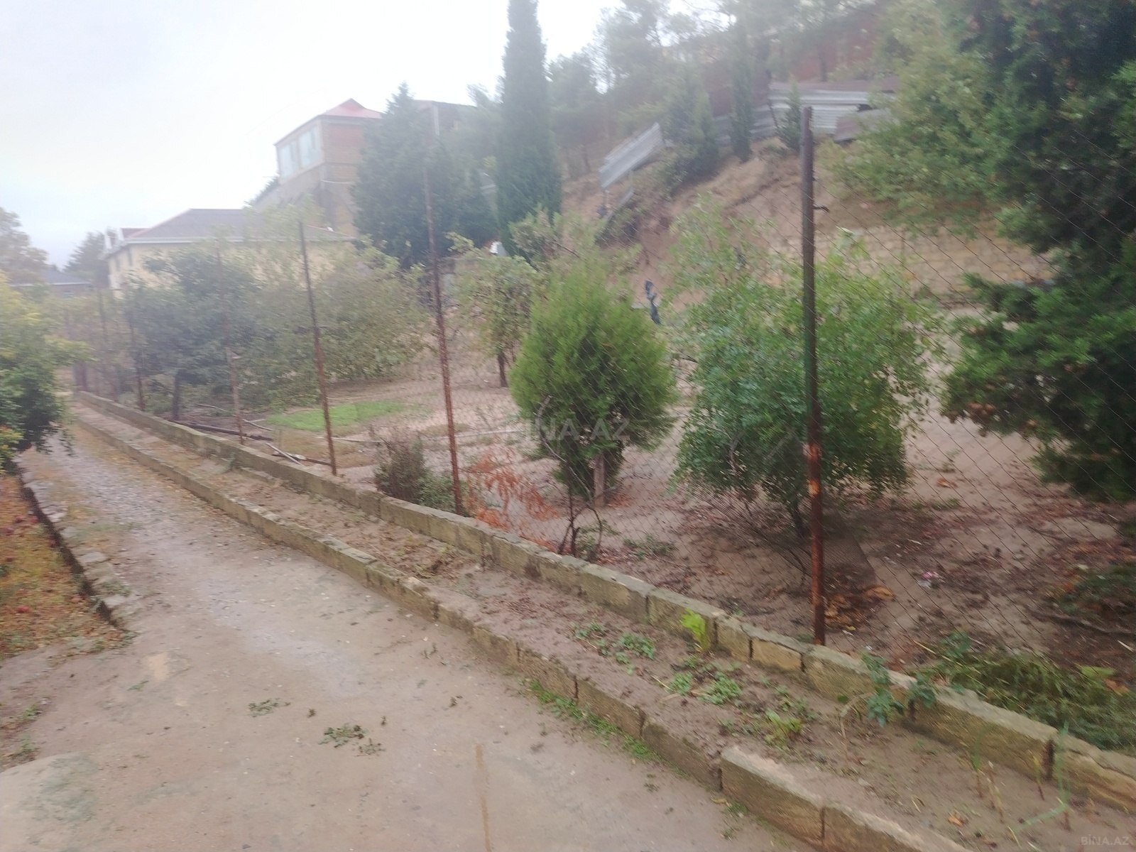 Torpaq Novxanı q., Bakı