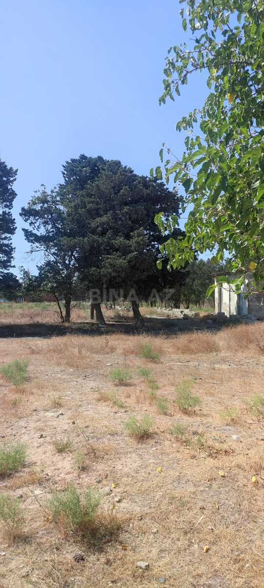 Torpaq Qaraçuxur q., Bakı