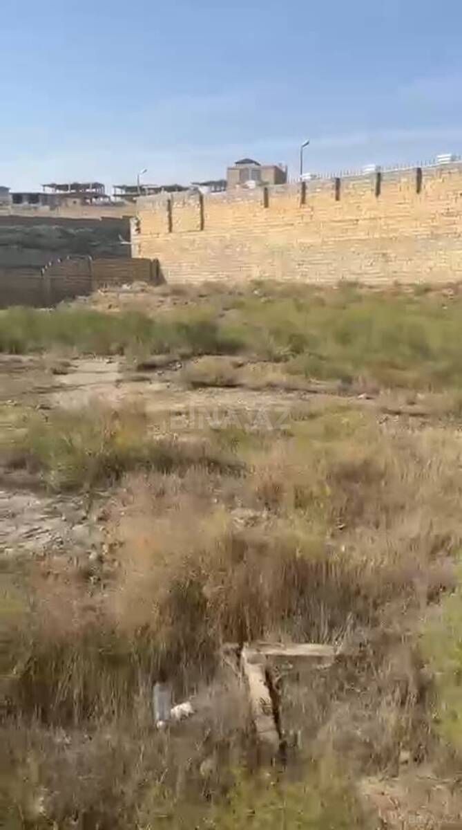 Torpaq Şıxov q., Bakı